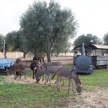 Taurisano Masseria Grande旅馆 外观 照片