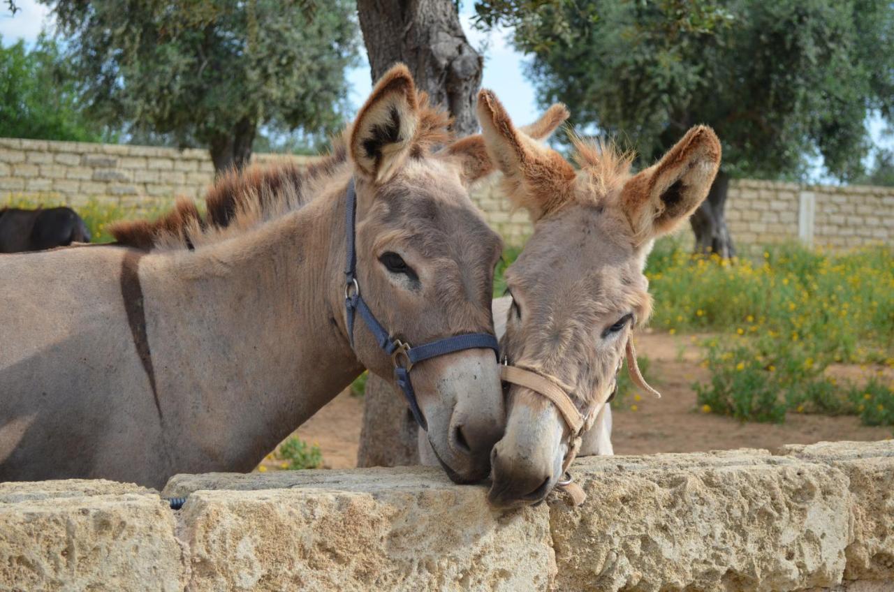 Taurisano Masseria Grande旅馆 外观 照片